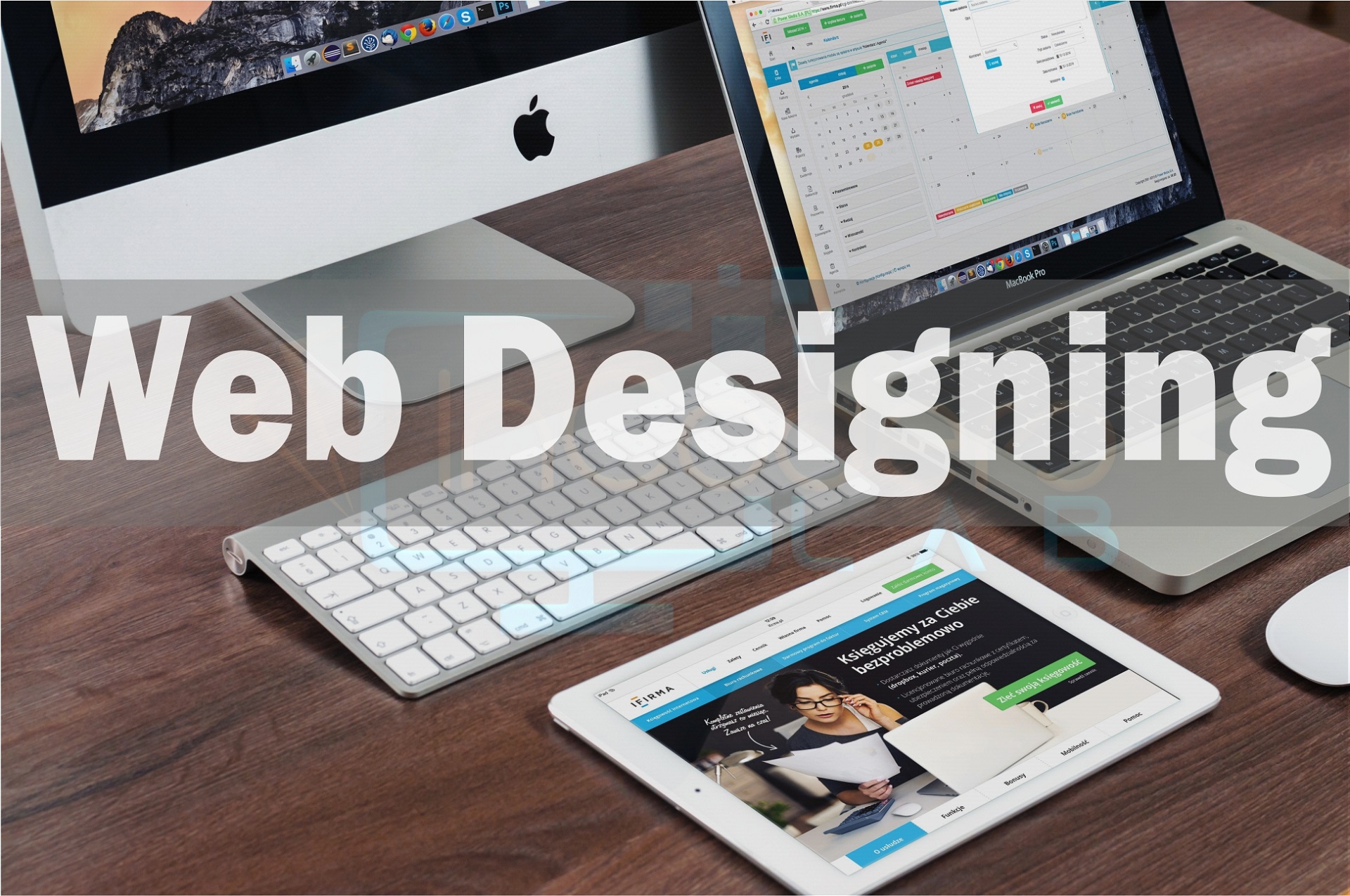 Website Designing Training